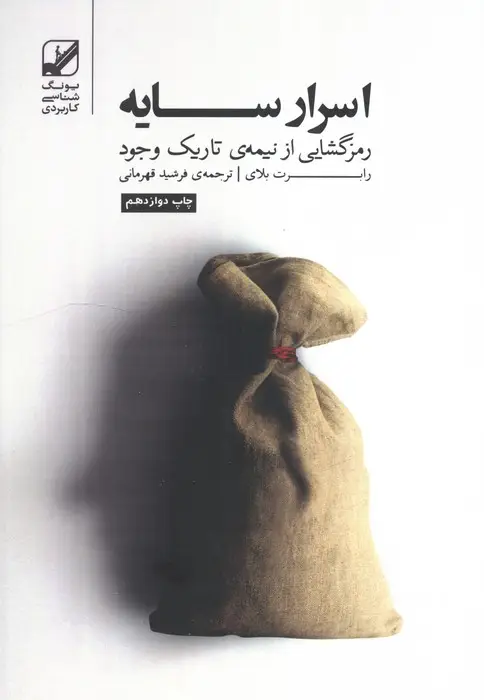 جلد کتاب اسرار سایه (رمزگشایی از نیمه ی تاریک وجود)