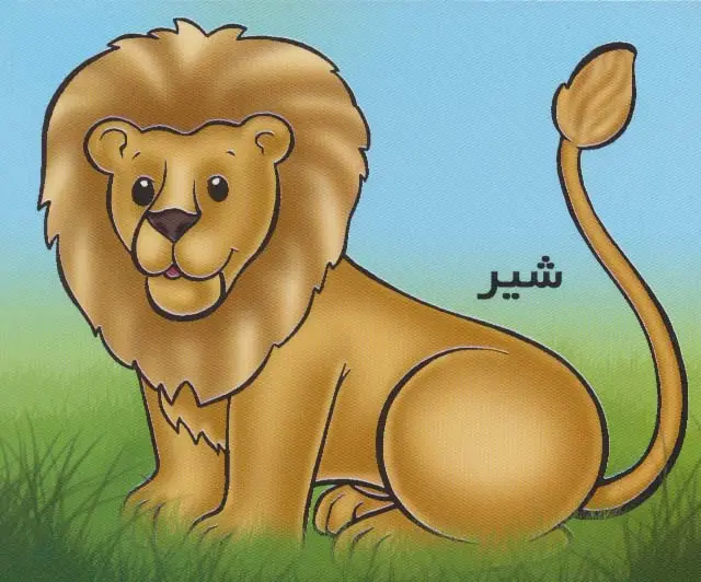 جلد کتاب حیوانات را بشناسیم (شیر)،(گلاسه)