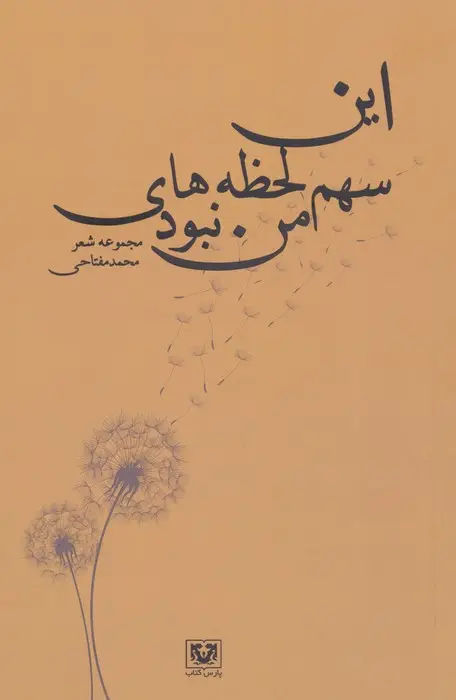 جلد کتاب این سهم لحظه های من نبود (مجموعه شعر)