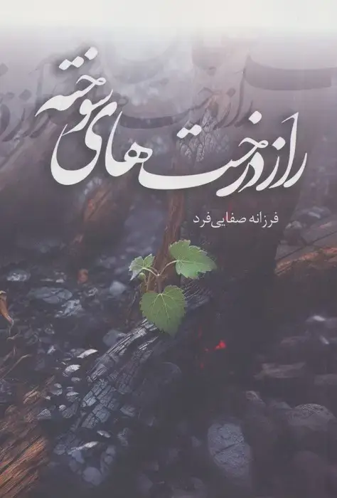 جلد کتاب راز درخت های سوخته