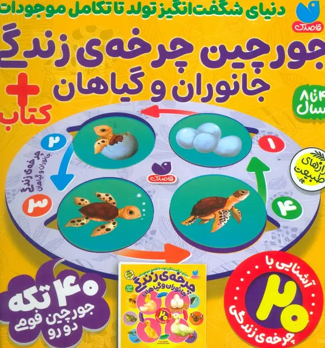 جلد کتاب بسته پازل فومی چرخه ی زندگی جانوران و گیاهان (کتاب+جورچین 40 تکه)،(باجعبه)