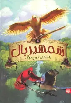جلد کتاب شمشیر بال