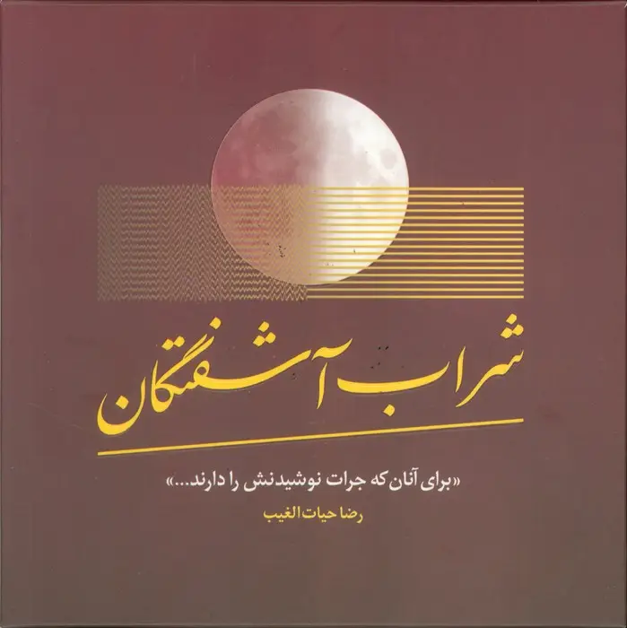 جلد کتاب شراب آشفتگان