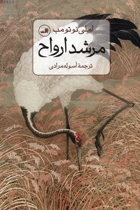 جلد کتاب مرشد ارواح