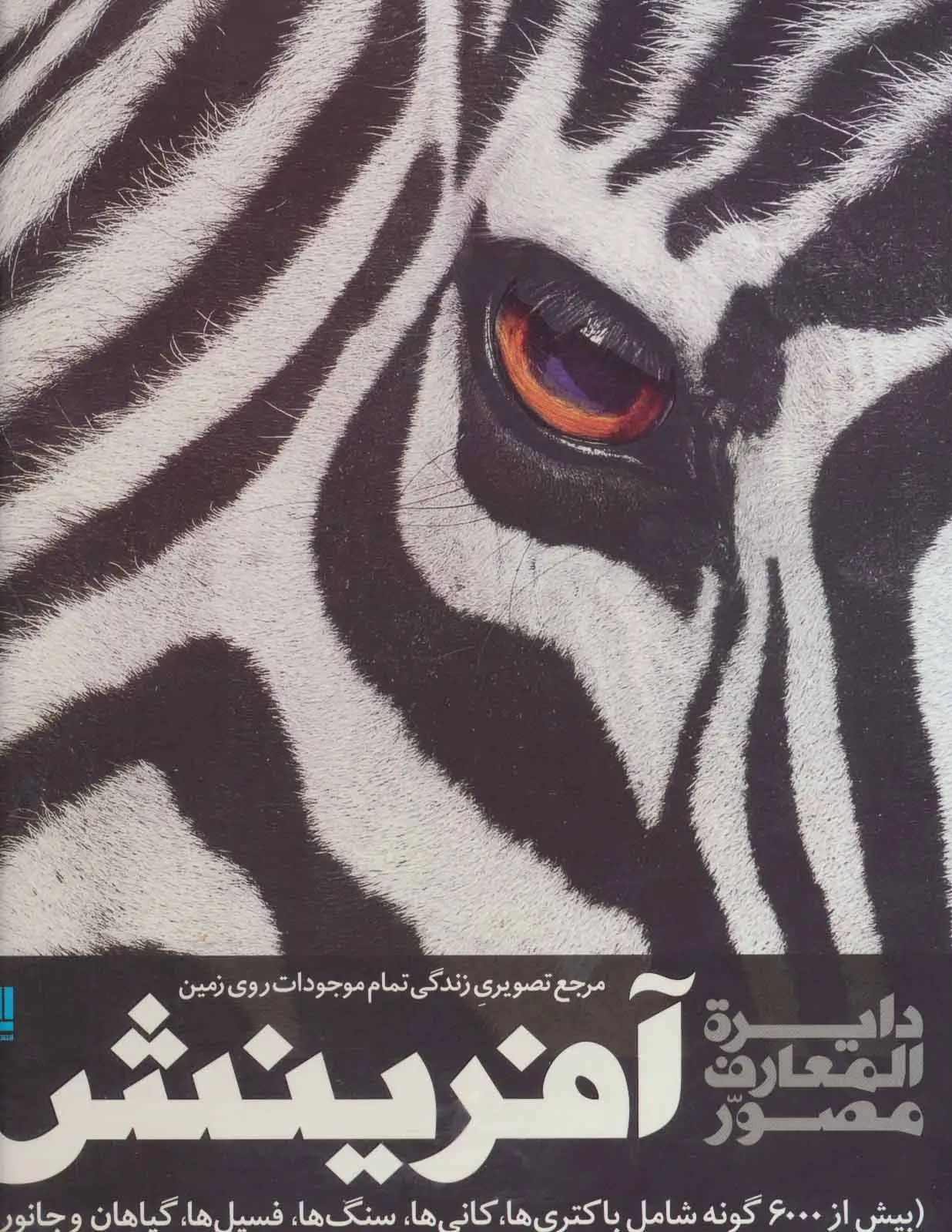 جلد کتاب دایره المعارف مصور آفرینش (مرجع تصویری زندگی تمام موجودات روی زمین)،(گلاسه،باجعبه)