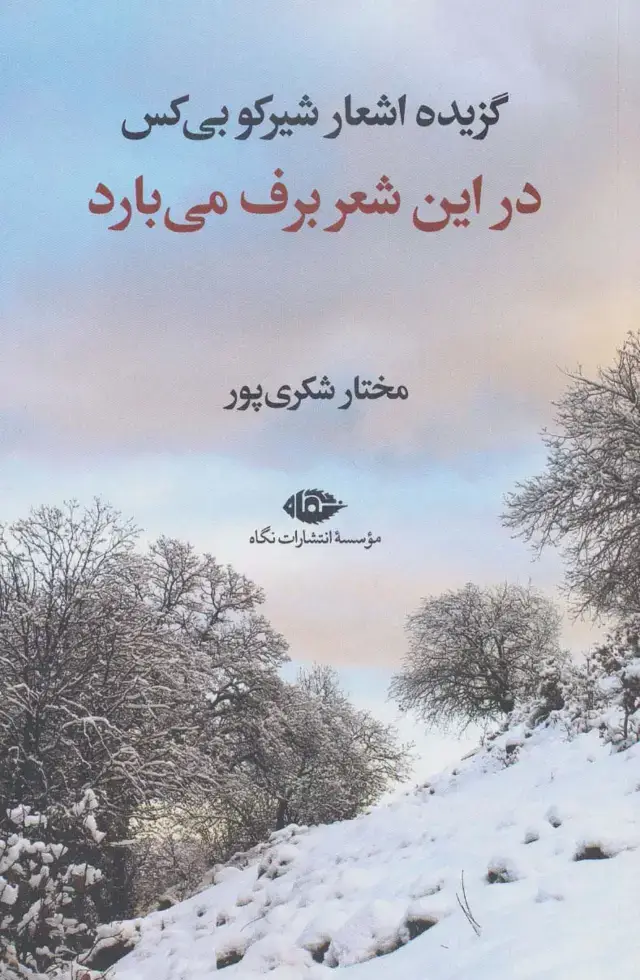 جلد کتاب در این شعر برف می بارد (گزیده اشعار شیرکو بی کس)