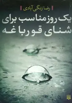جلد کتاب یک روز مناسب برای شنای قورباغه