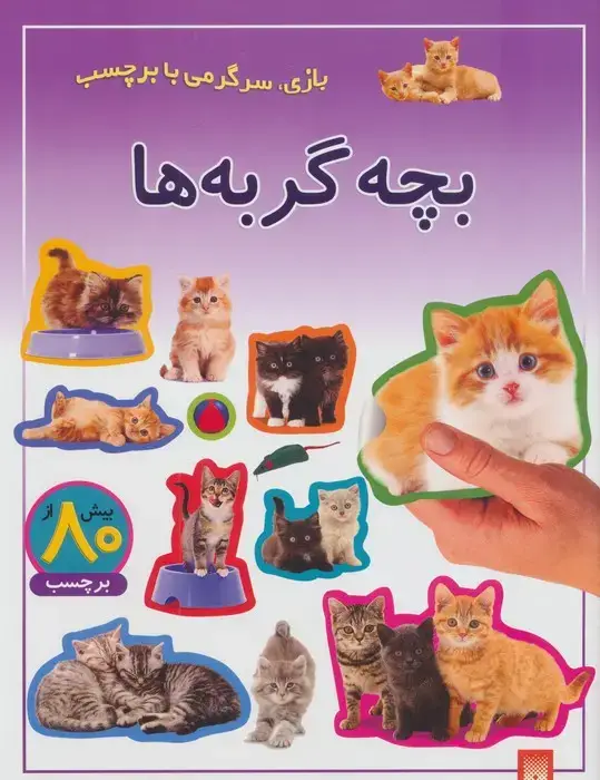 جلد کتاب بچه گربه ها (بازی،سرگرمی با برچسب)،(گلاسه)