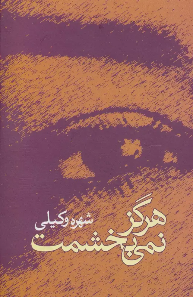 جلد کتاب هرگز نمی بخشمت
