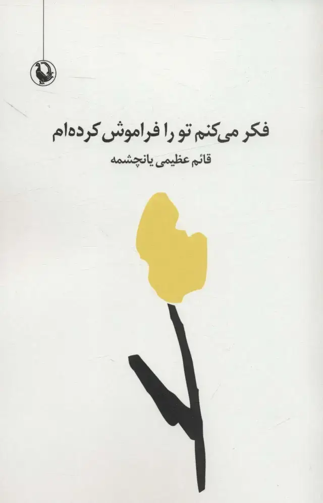جلد کتاب فکر می کنم تو را فراموش کرده ام (مجموعه شعر سپید)