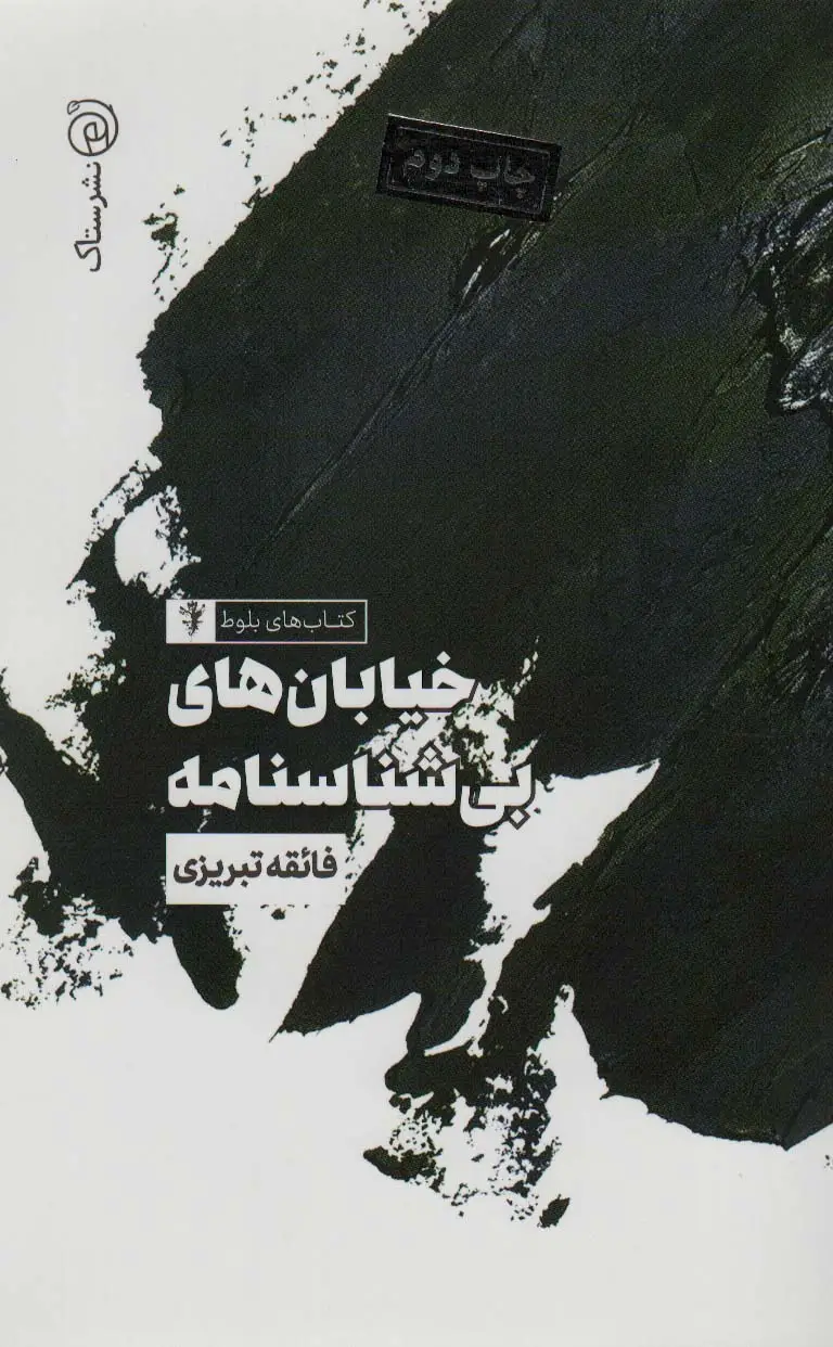 جلد کتاب خیابان های بی شناسنامه