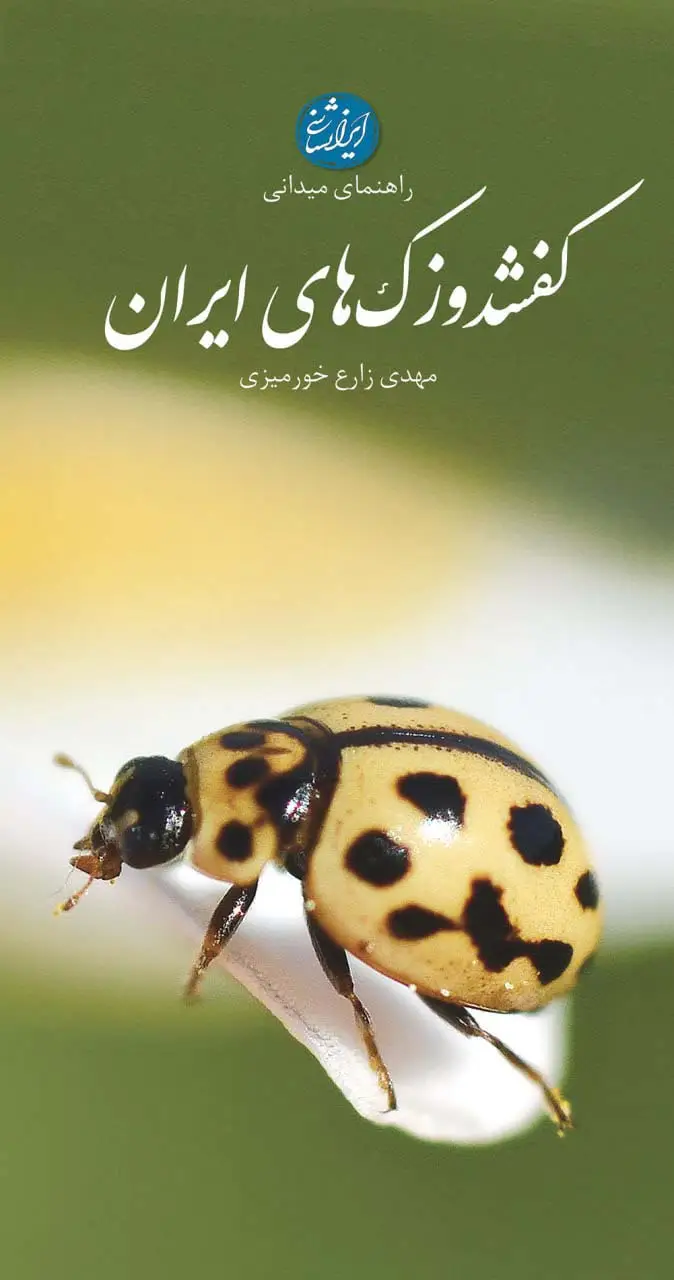 جلد کتاب راهنمای میدانی کفشدوزک های ایران (گلاسه)