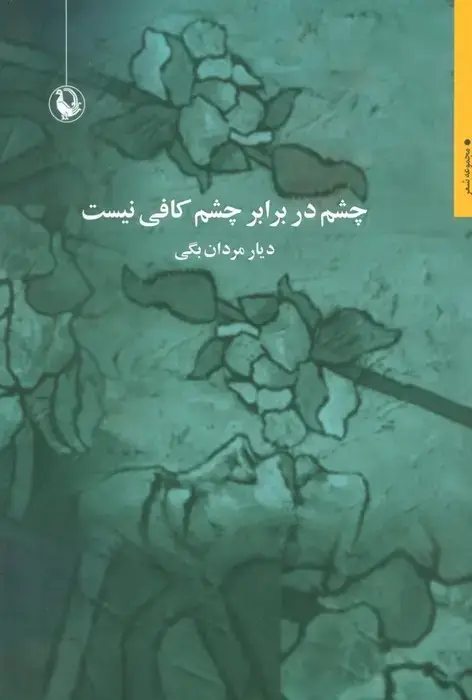 جلد کتاب چشم در برابر چشم کافی نیست