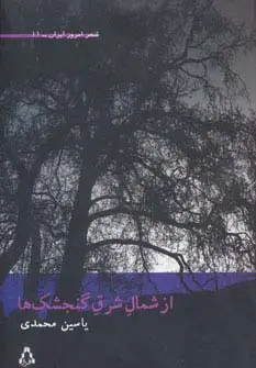 جلد کتاب از شمال شرق گنجشک ها (شعر امروز ایران11)
