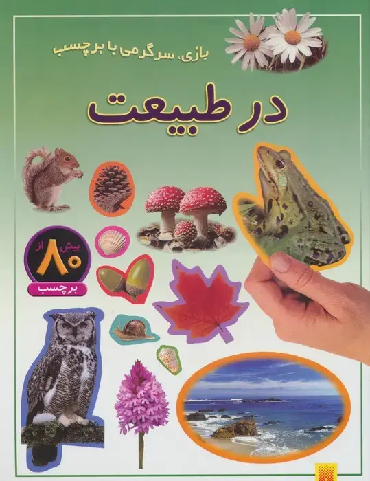 جلد کتاب در طبیعت (بازی،سرگرمی با برچسب)،(گلاسه)
