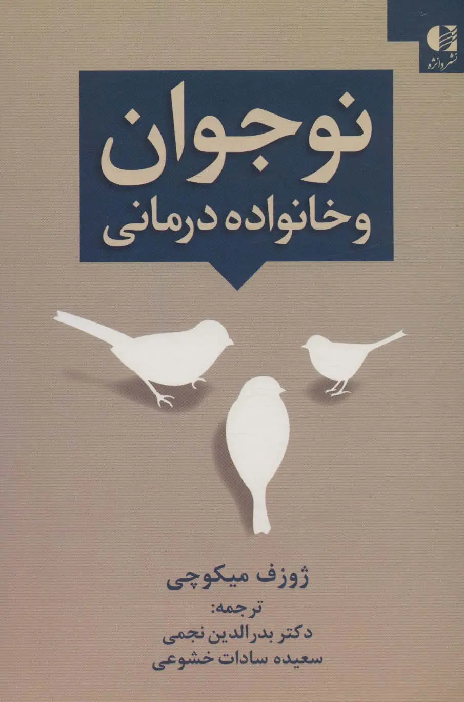 جلد کتاب نوجوان و خانواده درمانی