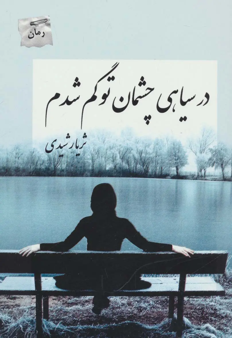 جلد کتاب در سیاهی چشمان تو گم شدم