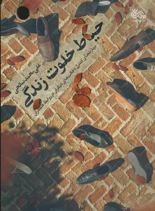 جلد کتاب حیاط خلوت زندگی
