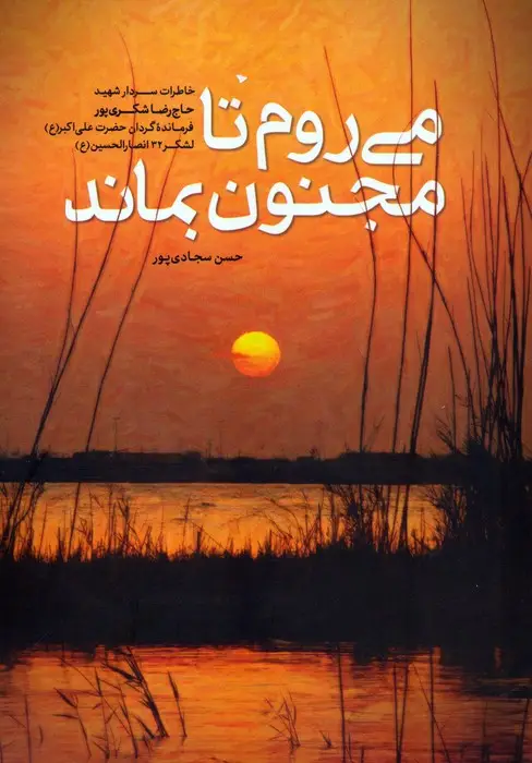 جلد کتاب می روم تا مجنون بماند (خاطرات سردار شهید حاج رضا شکری پور)