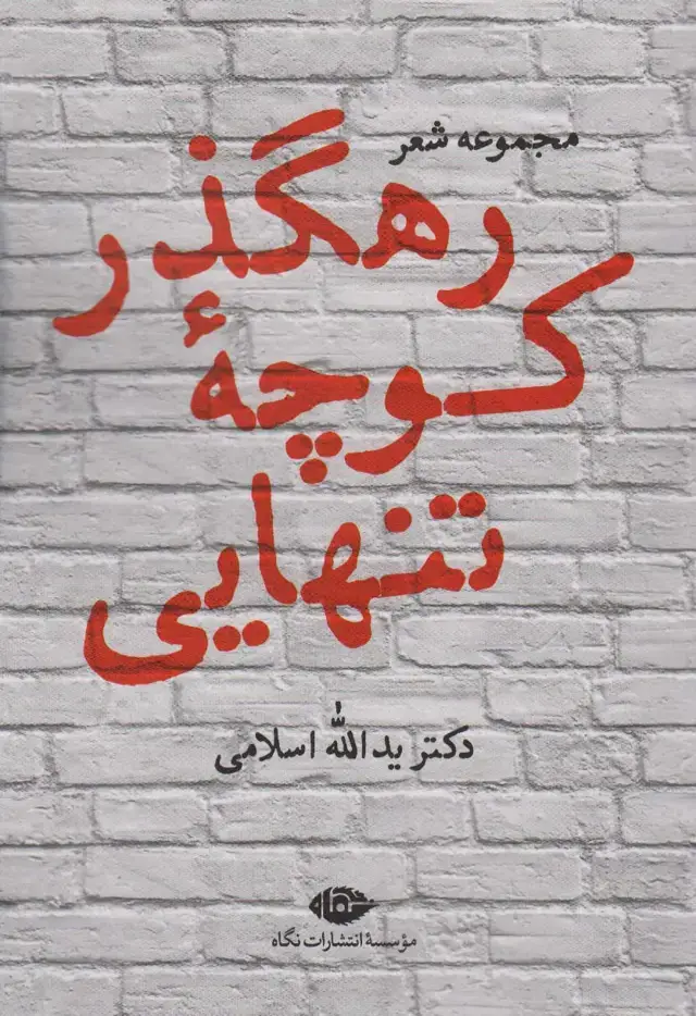 جلد کتاب رهگذر کوچه تنهایی (مجموعه شعر)