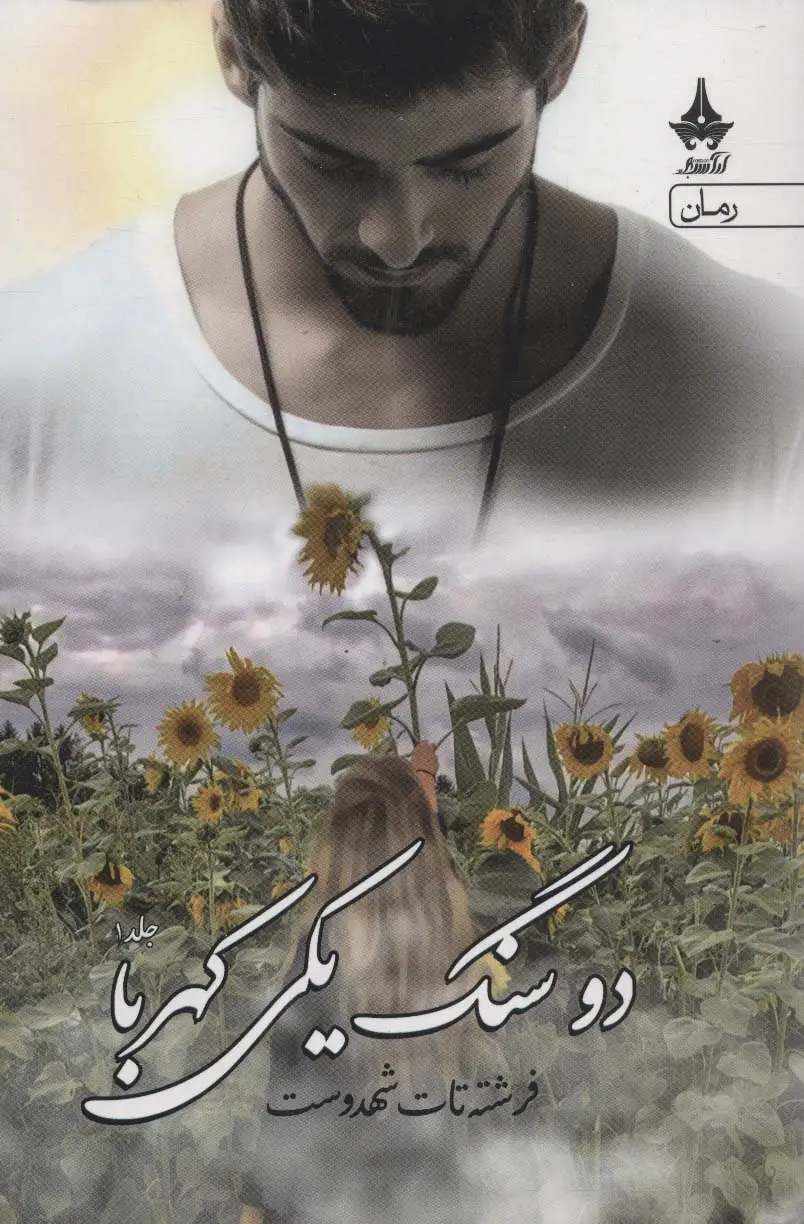 جلد کتاب دو سنگ یکی کهربا (2جلدی)