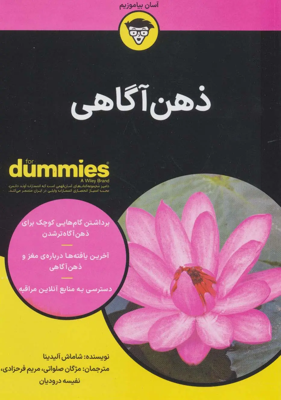 جلد کتاب کتاب های دامیز (ذهن آگاهی)