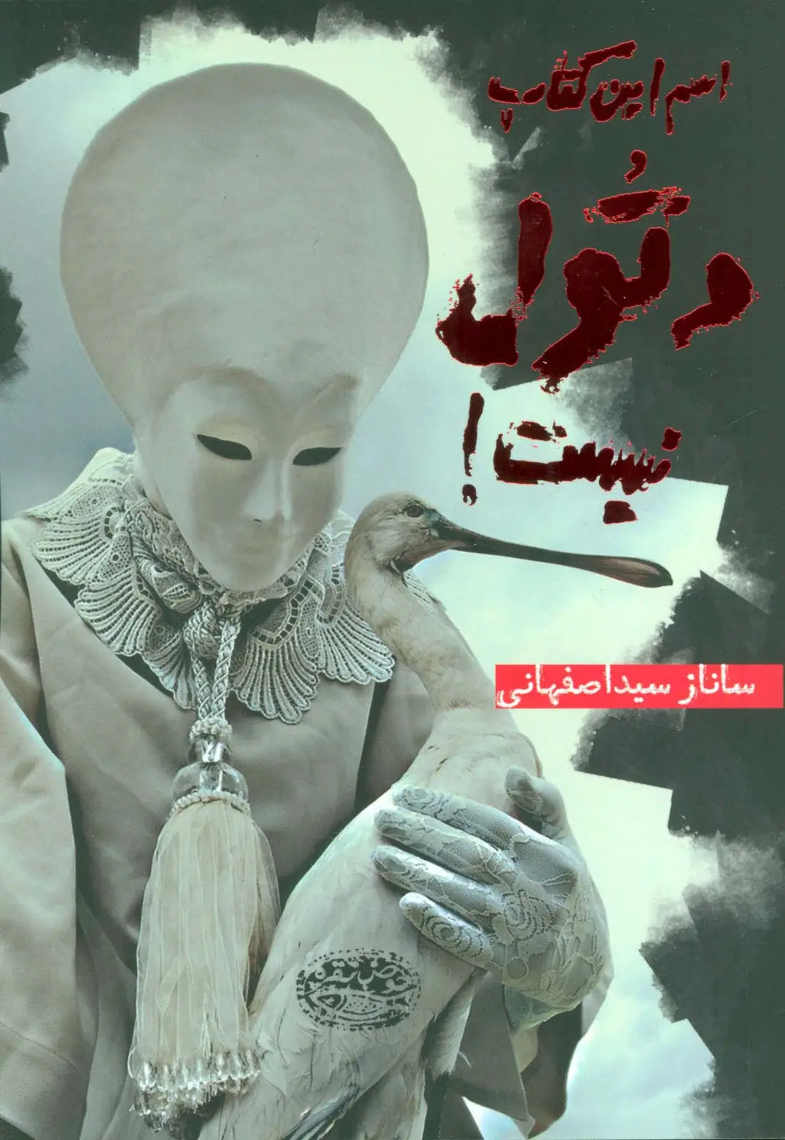 جلد کتاب اسم این کتاب دتول نیست!