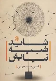 جلد کتاب شاید شبیه نیایش