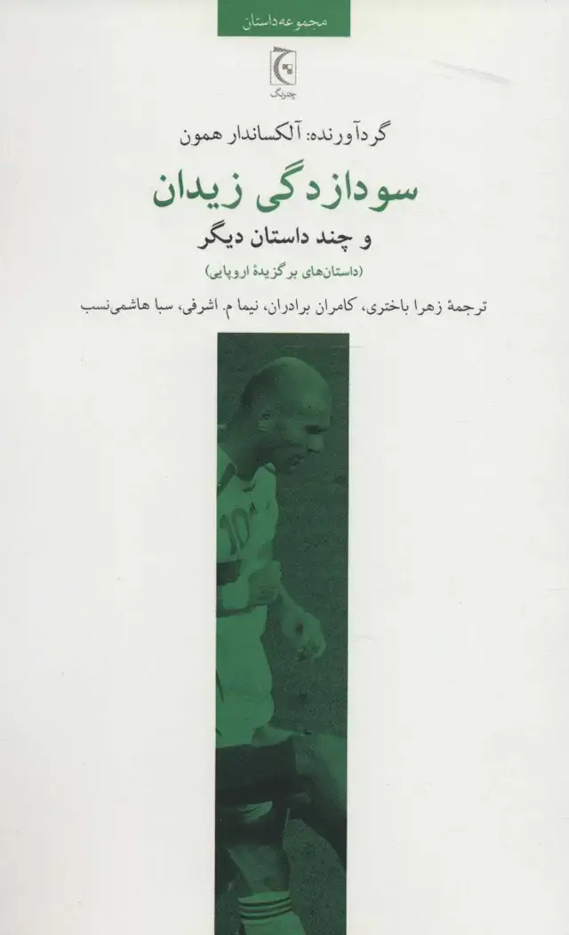 جلد کتاب سودازدگی زیدان و چند داستان دیگر (داستان های برگزیده اروپایی)