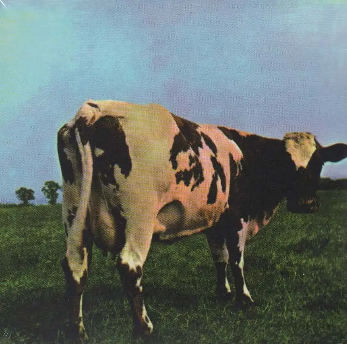 جلد کتاب مادر قلب اتمی (Pink Floyd،Atom Heart Mother)،(سی دی صوتی)،(باقاب)