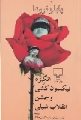 جلد کتاب انگیزه نیکسونکشی و جشن انقلاب شیلی