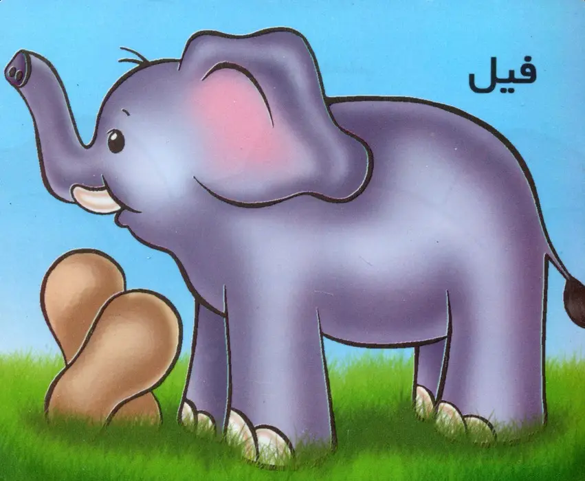 جلد کتاب فیل (گلاسه)