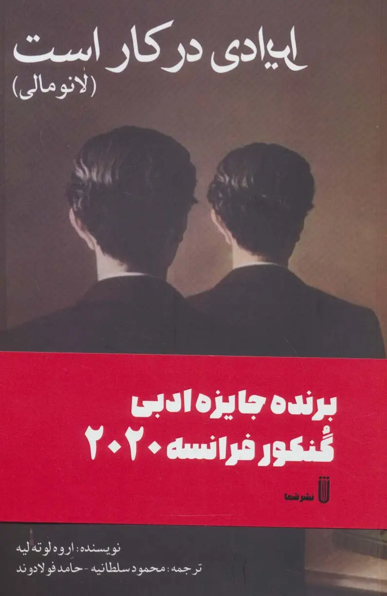 جلد کتاب ایرادی در کار است (لانومالی)