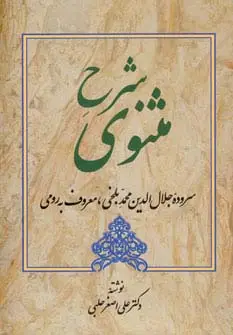 جلد کتاب شرح مثنوی 4 (سروده جلال الدین محمد بلخی،معروف به رومی)