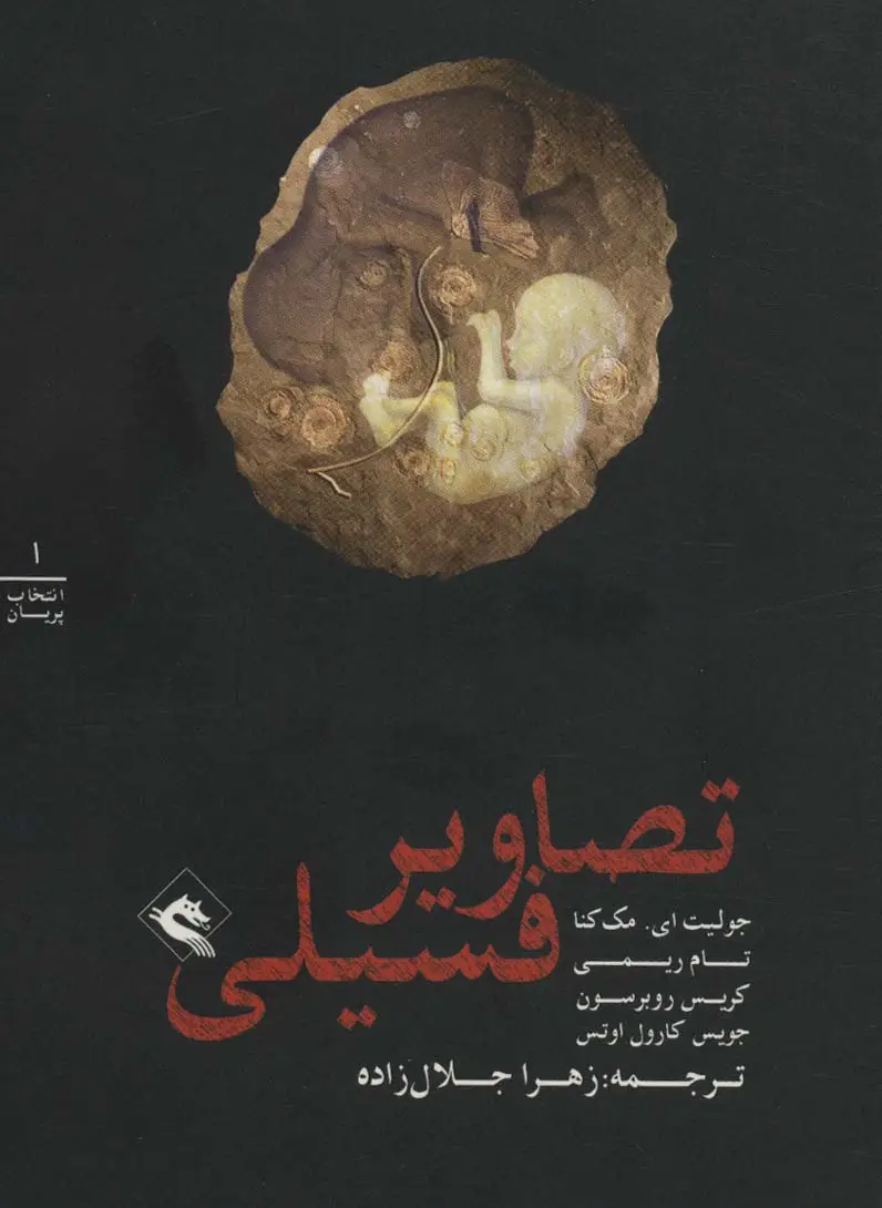 جلد کتاب تصاویر فسیلی (انتخاب پریان 1)