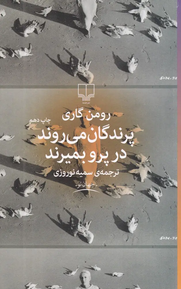 جلد کتاب پرندگان می‌روند در پرو بمیرند