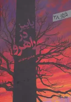 جلد کتاب پاییز در راهرو (شعر امروز38)