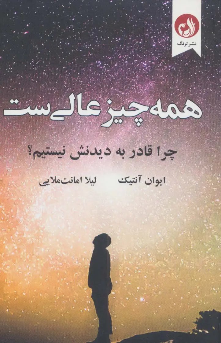 جلد کتاب همه چیز عالی ست (چرا قادر به دیدنش نیستیم؟)