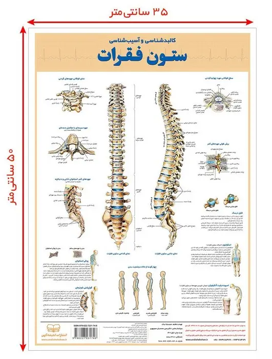 جلد کتاب پوستر کالبد شناسی و آسیب شناسی ستون فقرات 50*35 (گلاسه،باجعبه)