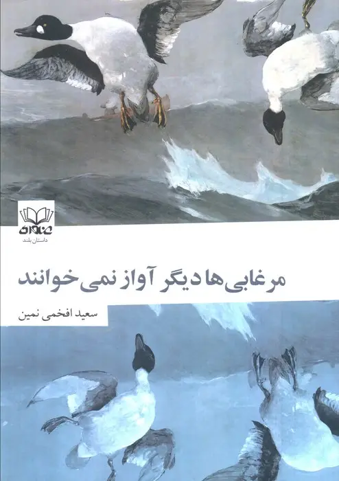 جلد کتاب مرغابی ها دیگر آواز نمی خوانند