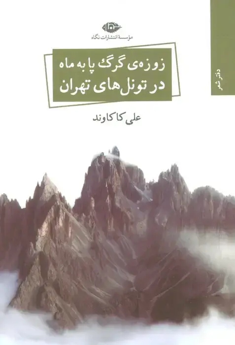 جلد کتاب زوزه ی گرگ پا به ماه در تونل های تهران