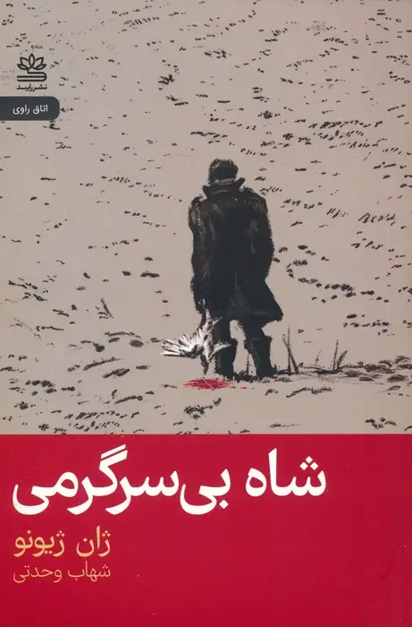 جلد کتاب شاه بی سرگرمی