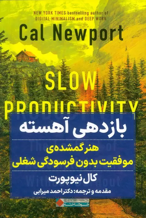 جلد کتاب بازدهی آهسته (هنر گمشده ی موفقیت بدون فرسودگی شغلی)
