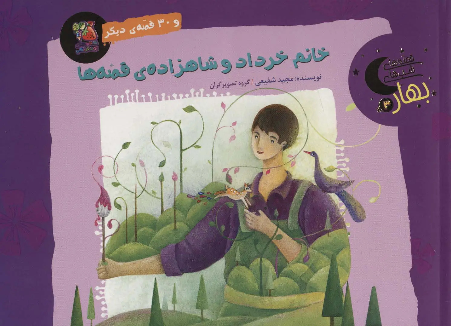 جلد کتاب خانم خرداد و شاهزاده ی قصه ها و 30 قصه ی دیگر (قصه های شب بهار 3)،(گلاسه)