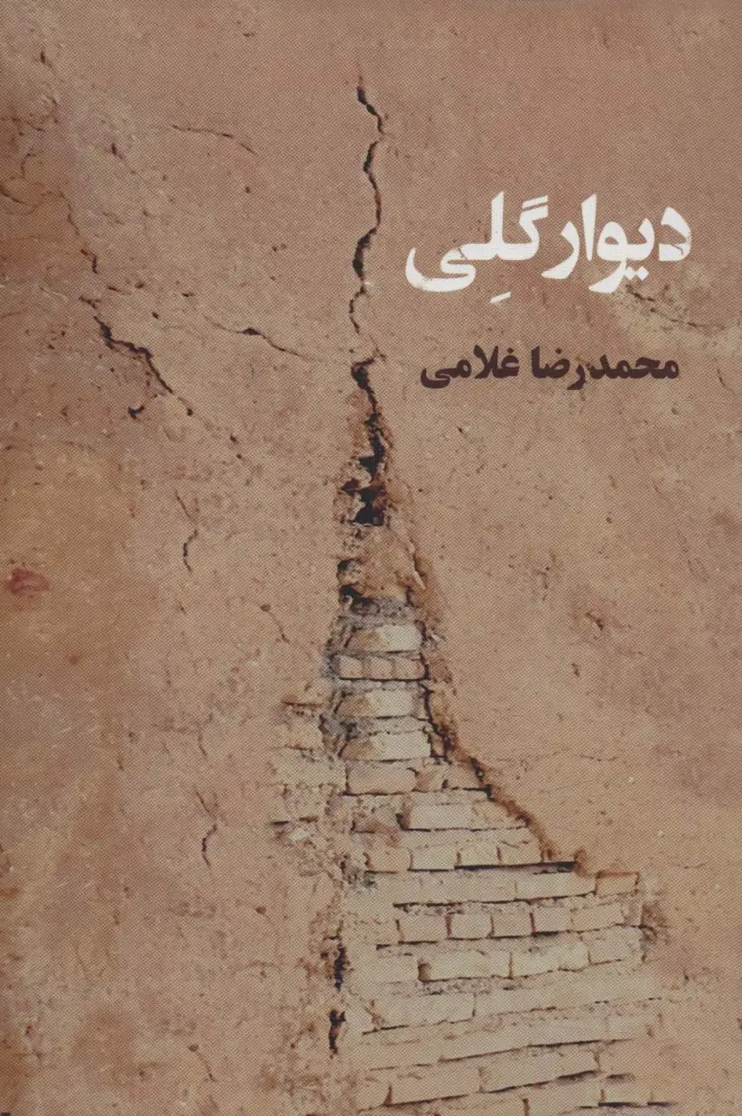 جلد کتاب دیوار گلی