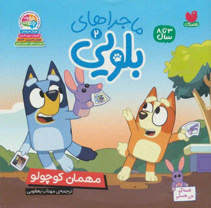 جلد کتاب ماجراهای بلویی 2 (مهمان کوچولو)