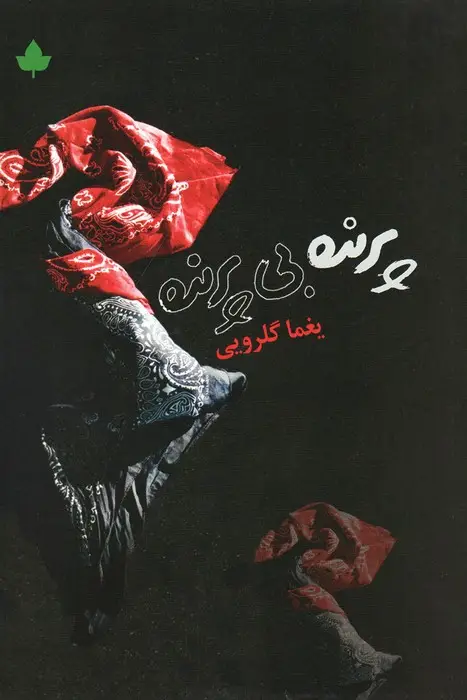 جلد کتاب پرنده بی پرنده (همراه با سی دی)