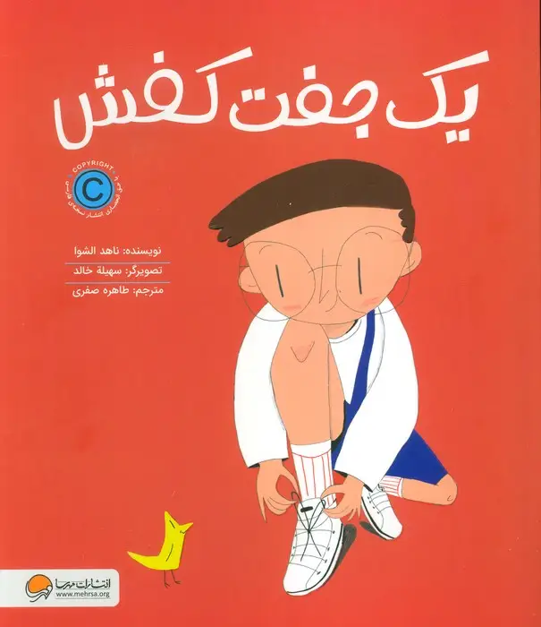 جلد کتاب یک جفت کفش