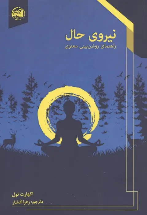 جلد کتاب نیروی حال (راهنمای روشن بینی معنوی)