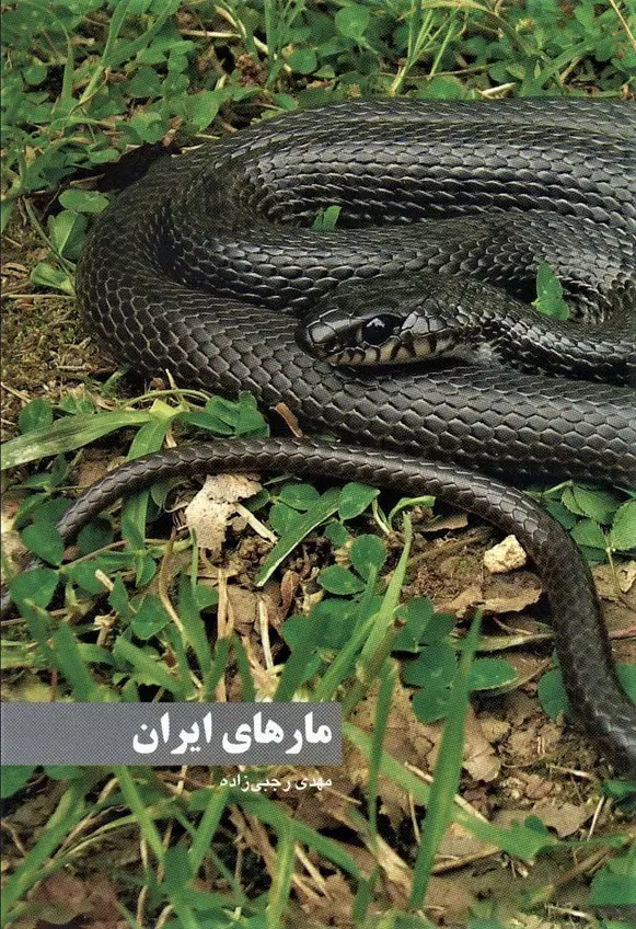 جلد کتاب مارهای ایران (گلاسه)